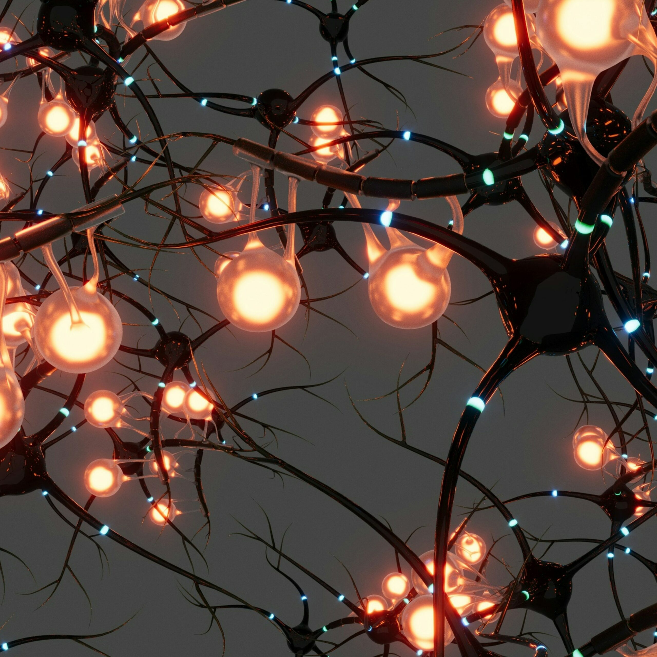 Neurons